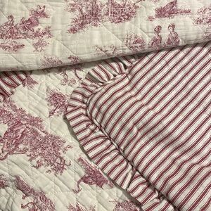 Twin Toile Quilt with standard sham and euro sham